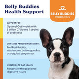 Origin Labs Belly Buddies Probiotics for Dogs, 5 Billion CFUs Prebiotics & Probiotics for Gut Health, 7 Strain Probiotic Blend, Immune Support, for All Dogs, Bacon Flavor, 90 Soft Chews