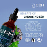 E2H Natural Black Currant Extract, Cold Pressed Black Currant Seed - Immune System Health - Fast Absorbing Liquid - 2 Fl Oz