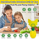 Fruit Fly Trap for Indoors, New Upgrade Fruit Fly Killer Gnat Traps for House Indoor, Non-Toxic Reusable Fly Catcher Gnat Killer with Yellow Sticky Pads & Attractant for Home, Kitchen, Plant (2 Pack)