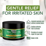 Tea Tree Oil Foot Cream For Dry Cracked Heels Repair - Natural Foot Cream For Dry Cracked Feet, Heel Balm & Foot Moisturizer For Healthy Feet - Athletes Foot Treatment Foot Lotion