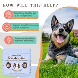 Natural Dog Company Probiotic Chews for Dogs (90 Bites), Chicken Flavor, Helps with Digestion & Gut Health Supports Immune System, Probiotics Supplement for Dogs of All Ages, Sizes & Breeds.