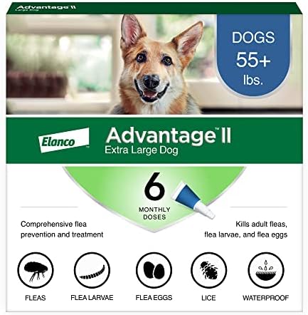 Advantage II XL Dog Vet-Recommended Flea Treatment & Prevention | Dogs Over 55 lbs. | 6-Month Supply