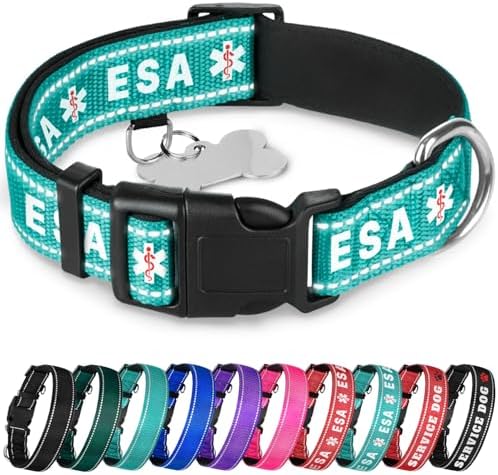 TECEUM Reflective Pet Collar – Teal - ESA – XL – Extra Soft Padding – Basic Nylon Dog Collar – Quick Release Buckle – Fits Small, Medium and Large Dogs, Puppies, Cats – ESA & Service Dog Options