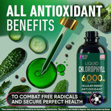 Chlorophyll Liquid Drops 6000 mg - Premium Liquid Chlorophyll Supplement - All-in-One Antioxidant for Immune Boost, Energy Increase, Digestion Support & Fast Detox - Non-GMO, Vegan