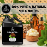 Naturevibe Botanicals Shea Nut Oil 32 Ounces | Cold Pressed 100% Pure and Natural | Natural Moisturizing Oil | Nourishes and Smoothens Hair Face Skin | Strengthens & Adds Shine (946 ml)