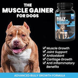 Kilab Dog Weight Gainer – 100-Count Muscle Builder Dog Supplement – Muscle Growth Supplement for Dogs, Puppies and Adults – Bully Growth Formula with Turmeric, Glucosamine, Green Lipped Mussels