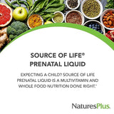 Natures Plus Source of Life Prenatal Liquid, Tropical Fruit - 30 fl oz - Multivitamin & Mineral Supplement - Nutritional Support During Pregnancy - Gluten Free, Vegetarian - 30 Servings