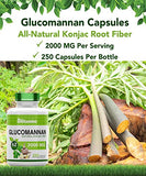 tnvitamins Glucomannan Capsules 2000 MG - 250 Count | Natural Konjac Root Fiber Extract Powder Supplement | Soluble, Dietary, & Digestive Fiber Pills | Produced in The USA | Non-GMO & Gluten Free