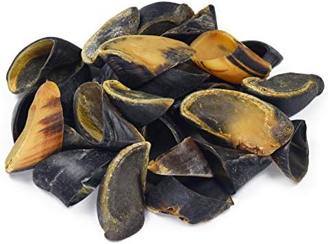 Full-Size Cow Hooves for Dogs | All-Natural Long Lasting Dog Chews | Made from Grass Fed Cattle | Tasty Treat for Oral Hygiene | Fantastic Alternative for Rawhide and Bully Sticks (100 Count)