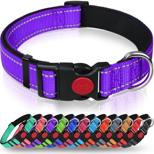 Taglory Reflective Dog Collar with Safety Locking Buckle, Adjustable Nylon Pet Collars for Medium Dogs Female Male, Purple, M