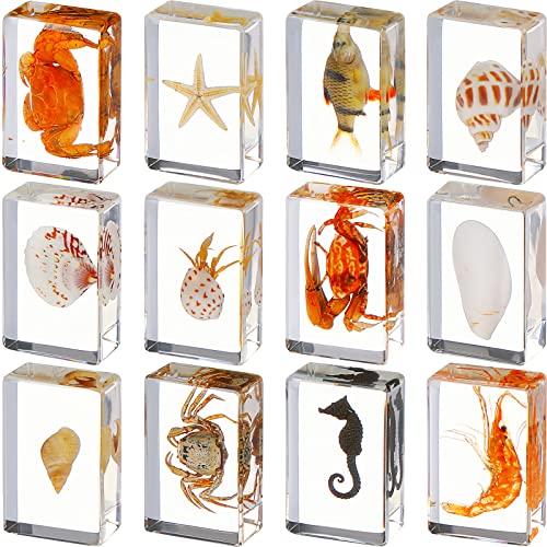 12 Pcs Insect in Resin Specimen Bugs Collection Arachnid Resin Paperweights Different Insect Specimen Bug for Kids Scientific Educational Toy, 12 Styles(Ocean Theme)