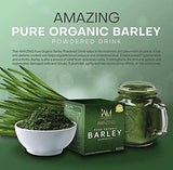 Pure Barley Powdered Drink Mix Organic Barley Green Natural Blend