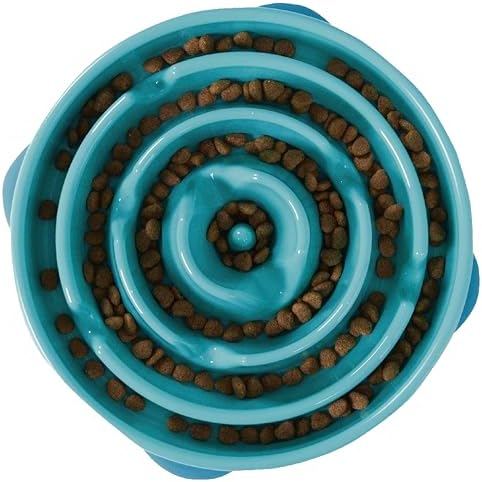 Outward Hound Fun Feeder Slo Bowl, Slow Feeder Dog Bowl, Large/Regular, Turquoise