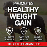 MVP K9 Formula Mass Weight Gainer for Dogs - Helps Promote Healthy Weight Gain, Size and Muscle in Dogs - Great for Skinny, Underweight, Picky Eaters. All Breed Formula, Made in USA (90 Servings)