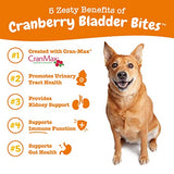 Zesty Paws Cranberry Bladder Bites for Dogs - Kidney & Urinary Tract Health - Soft Chews with D-Mannose, Vitamin B6 & L-Arginine - Immune & Gut Support - Bacon - 90 Count