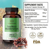 HERBAMAMA Sea Moss Capsules - Sea Moss Bladderwrack Supplement for Immunity, Thyroid, Digestive Health & Joint Support - Organic Irish Sea Moss Superfood - Non-GMO 1600mg, 100 Vegetarian Caps