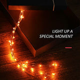 Ariceleo Mini Halloween Fairy Lights Battery Operate, 4 Pack Copper Wire Night Lights 3*AAA Battery Powered Led Starry Fairy String Lights for Bedroom, Christmas, Party, Decoration(5m/16ft Orange)