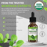 PURA VIDA MORINGA Moringa Leaf Extract Drops - Moringa Oleifera Leaf Extract | Pairs Well Capsules and Moringa Powder. 2oz