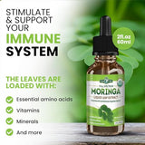 PURA VIDA MORINGA Moringa Leaf Extract Drops - Moringa Oleifera Leaf Extract | Pairs Well Capsules and Moringa Powder. 2oz