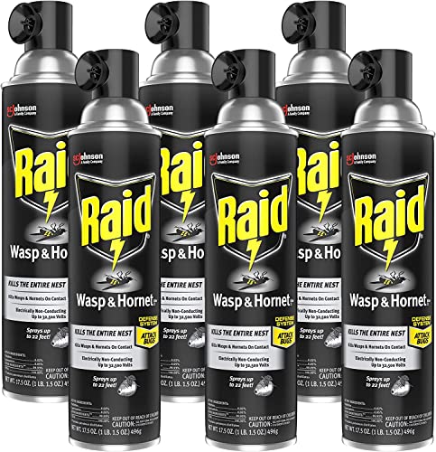 Raid Wasp and Hornet Killer Multi-Packs 17.5 Ounce (Pack of 6)