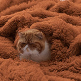 Bedsure Soft Burnt Orange Twin Blanket for Bed, Fluffy Fuzzy Blankets Twin Size for Couch, Sofa, Cozy Plush Sherpa Fleece Faux Fur Blanket, Thick Warm Christmas Blanket Gifts for Women, Men, 60x80