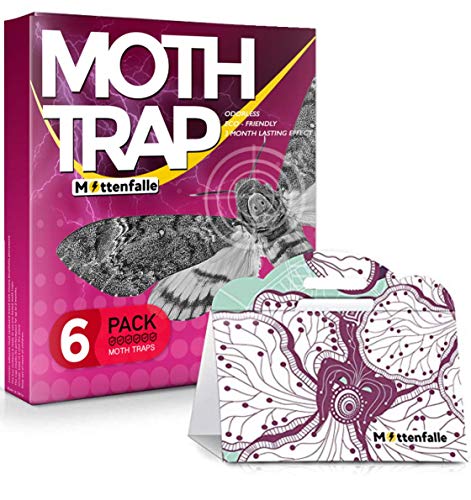 Mottenfalle Clothes Moth Traps 6-Pack - Prime Safe Non-Toxic Eco-Friendly Indoor Moth Traps with Pheromones Sticky Adhesive Tool for Wool Closet Carpet (Upright)