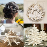 QEQEKAKA® 20 PCS Starfish for Crafts 2" to 4" Natural Starfish Decor Bulk, for Wedding Beach Theme Decor Home DIY Crafts Decor Christmas Tree Starfish Ornaments