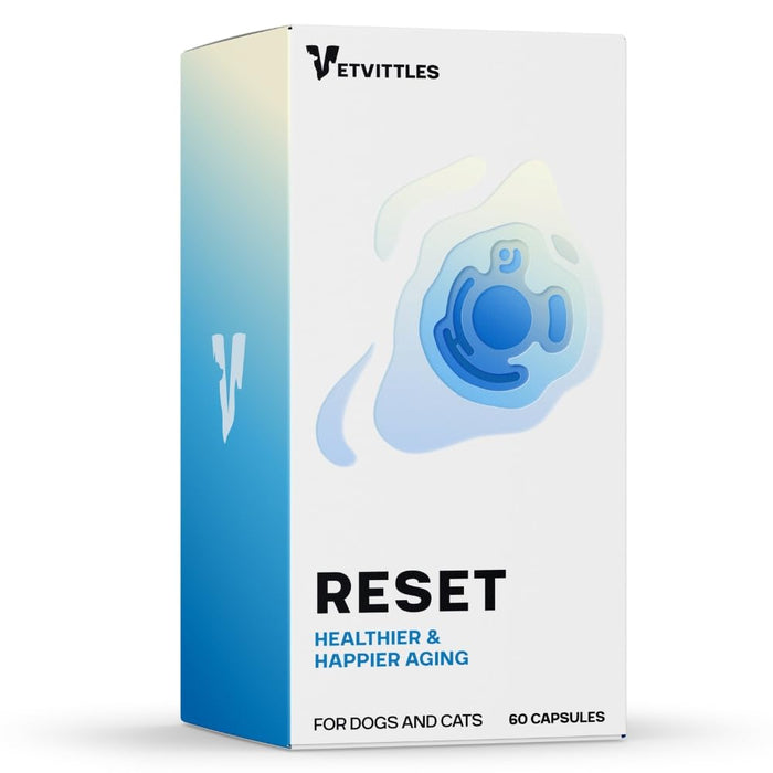 VetVittles Reset NAD+ Booster for Dogs and Cats - Effective NR and Resveratrol Supplement for Healthy Aging, Cellular Repair, Increased Energy, and Metabolic Support- 60 Capsules