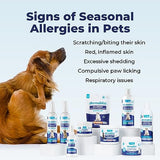 Dermabliss Dog Allergy Itch Relief - Chews, Medicated Hydrocortisone Anti-Itch Spray, Wipes & Omega Immune Treats - Vet Recommended for Allergies & Immunity… (30ct, Allergy Chews)