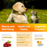 Multivitamin for Dogs & Cats | Multivitamin for Dogs | Cat Multivitamin | Dog Vitamin | Cat Vitamin | Pet Vitamin | Vitamins for Cats | Liquid Dog Vitamins | Liquid Cat Vitamins | 2 Oz