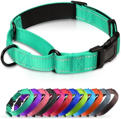 Neoprene Padded Martingale Collar for Dogs, Reflective Soft Nylon with Quick Release Buckle, Adjustable Dog Martingale Collars for Training & Daily Use (Turquoise,L)
