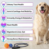 IMMAL 15 in 1 Dog Multivitamin Drops for Dogs - Dog Vitamins & Supplements Natural Dog Multivitamins and Minerals - Glucosamine, MSM for Skin & Coat, Heart Health, Bones, Joint, Immune System Support