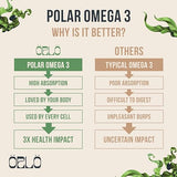 Orlo DHA - Vegan DHA Omega 3 Supplement - Triple Strength Omega3s - Plant Based DHA & EPA Fatty Acids Algae Omega-3 Oil - Sustainable Krill or Fish Oil Alternative (60 Mini Softgels)