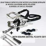 Equine Dental Kit Set Speculum Horse Mouth Gag Float Set Steel Leather McPherson