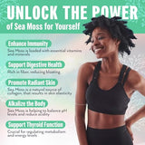 Biolore Sea Moss Gel Pineapple 16Oz - Made in USA Supercharge Your Health with Raw Wildcrafted Irish Seamoss - Essential Vitamins & Minerals - Antioxidant-Rich Vegan Superfood for Immune Support