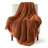 Bedsure Soft Burnt Orange Twin Blanket for Bed, Fluffy Fuzzy Blankets Twin Size for Couch, Sofa, Cozy Plush Sherpa Fleece Faux Fur Blanket, Thick Warm Christmas Blanket Gifts for Women, Men, 60x80