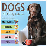 TF PUBLISHING 2024 Dog A Day Daily Desktop Calendar | Home and Office Organization | Over 300 Full-Color Easy Tear-Off Pages | Attached Fold-Out Cardboard Easel for Desks | 5.25” x 5.25”