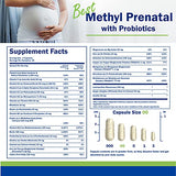 Power By Naturals Prenatal Probiotic Blend Vitamins w/Methylfolate, B12, Iron, Ginger & 27+ Essential Nutrients for Healthy Pregnancy, Prenatal Probiotics for Women, Pregnancy Probiotic, 60 Capsules