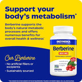 Enzymedica, Berberine, 800mg, 120 Count