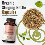 HERBAMAMA Stinging Nettle Root Capsules - Organic Stinging Nettle Root Powder Pills - Urtica Dioica Herbal Supplement - 100 Vegan Caps