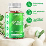 Vitamatic 2 Pack Irish Sea Moss Gummies - 3000 mg - 60 Vegan Gummies - Made with Bladderwrack & Burdock Root - Seamoss Supplement for Thyroid, Energy, Immune Support