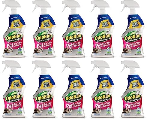 OdoBan Pet Solutions Oxy Stain Remover, Pet Stain Eliminator, 10-Pack, 32 Ounce Spray Each