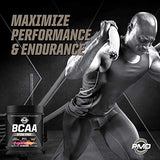 PMD Sports BCAA Stim-Free Amino Acids - Better Workout Performance, Enhanced Recovery, Daily Energy, Muscle Builder, and Muscle Sparing - BCAA Powder Drink Mix - Fun on The Beach (30 Servings)