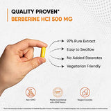 Sandhu's Berberine HCL Supplement 500mg per capsule with 97% Pure Berberis Aristata Extract| 60 count| Supports Weight Management & Healthy Energy levels| Made in USA, Vegetarian, Non-GMO, Gluten Free