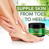 Tea Tree Oil Foot Cream For Dry Cracked Heels Repair - Natural Foot Cream For Dry Cracked Feet, Heel Balm & Foot Moisturizer For Healthy Feet - Athletes Foot Treatment Foot Lotion