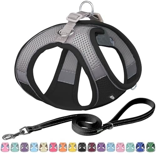 AIITLE Dog Harness, Spring No-Pull Cat Harness with a Leash, Adjustable Reflective Dog Vest, Cat Harness Escape Proof, Outdoor Walking, Camping for Extra Small Dogs and House Cats Black XXXS