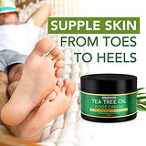 Tea Tree Oil Foot Cream For Dry Cracked Heels Repair - Natural Foot Cream For Dry Cracked Feet, Heel Balm & Foot Moisturizer For Healthy Feet - Athletes Foot Treatment Foot Lotion