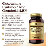 Solgar Glucosamine Hyaluronic Acid Chondroitin MSM, 120 Tablets - Supports Healthy Joints & Range of Motion & Flexibility - Extra Strength, Shellfish Free - Non-GMO, Gluten Free - 40 Servings