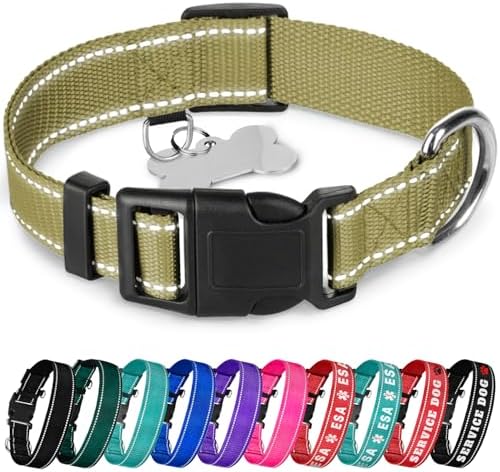 TECEUM Reflective Pet Collar – Olive – L – Basic Nylon Dog Collar – Quick Release Buckle – Fits Small, Medium and Large Dogs, Puppies, Cats – ESA & Service Dog Options