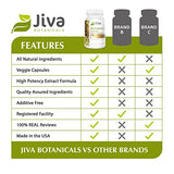 Jiva Botanicals Boswellia Extract Capsules - Organic Boswellia Serrata Extract Capsules containing Frankincense Powder and Bioperene (Black Pepper Fruit Extract) - Boswellia Supplement - 120 Capsules